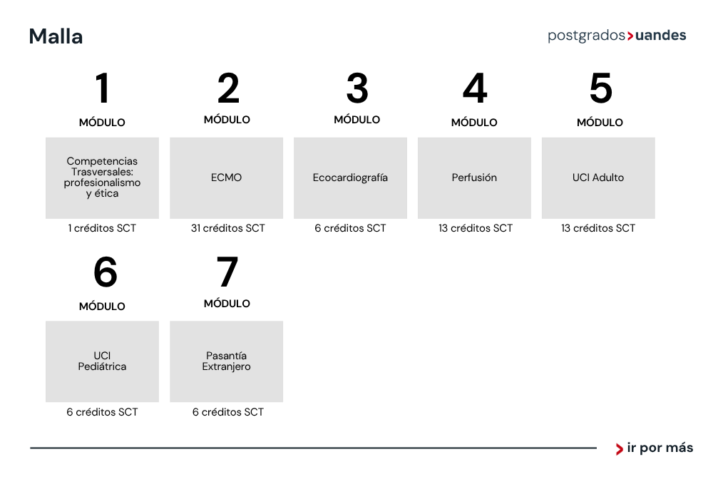 Estadía de Perfeccionamiento (Fellowship) en Técnicas de Soporte Vital Extracorpórea (ECMO)