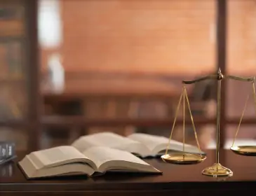 Diplomado en Derecho de la Infancia