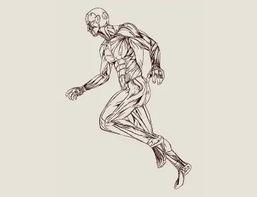 Estadía de Perfeccionamiento en Radiología Músculo Esquelética Clínica Dávila- Clínica Universidad de los Andes