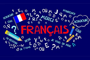 Francés Intermedio I