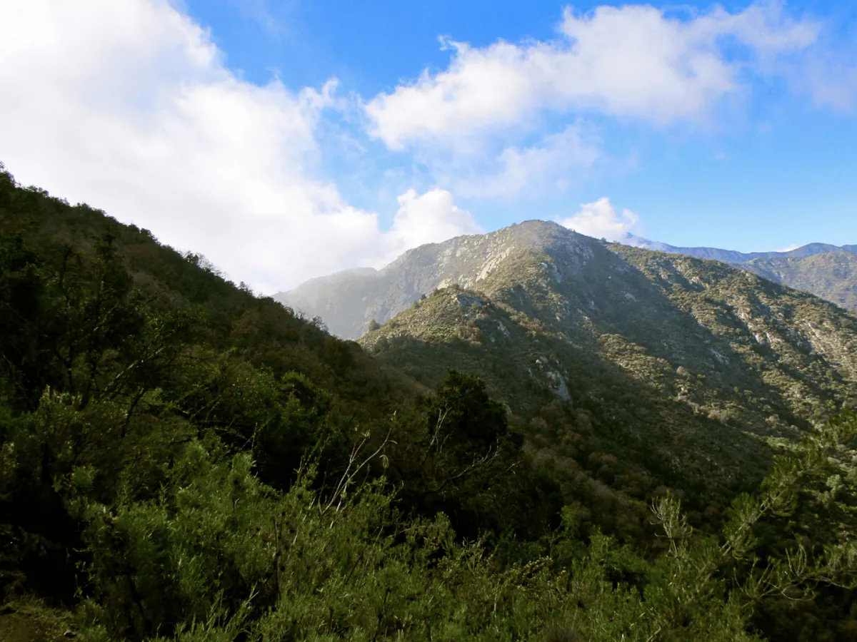 Parque Nacional La Campana Sector Cajón Grande