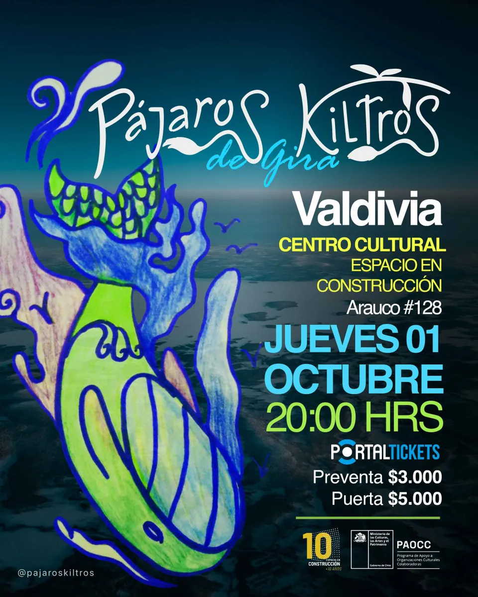 PÁJAROS KILTROS EN VALDIVIA