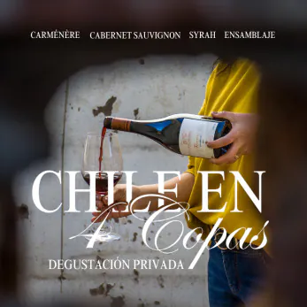 Chile en 4 Copas (+18)