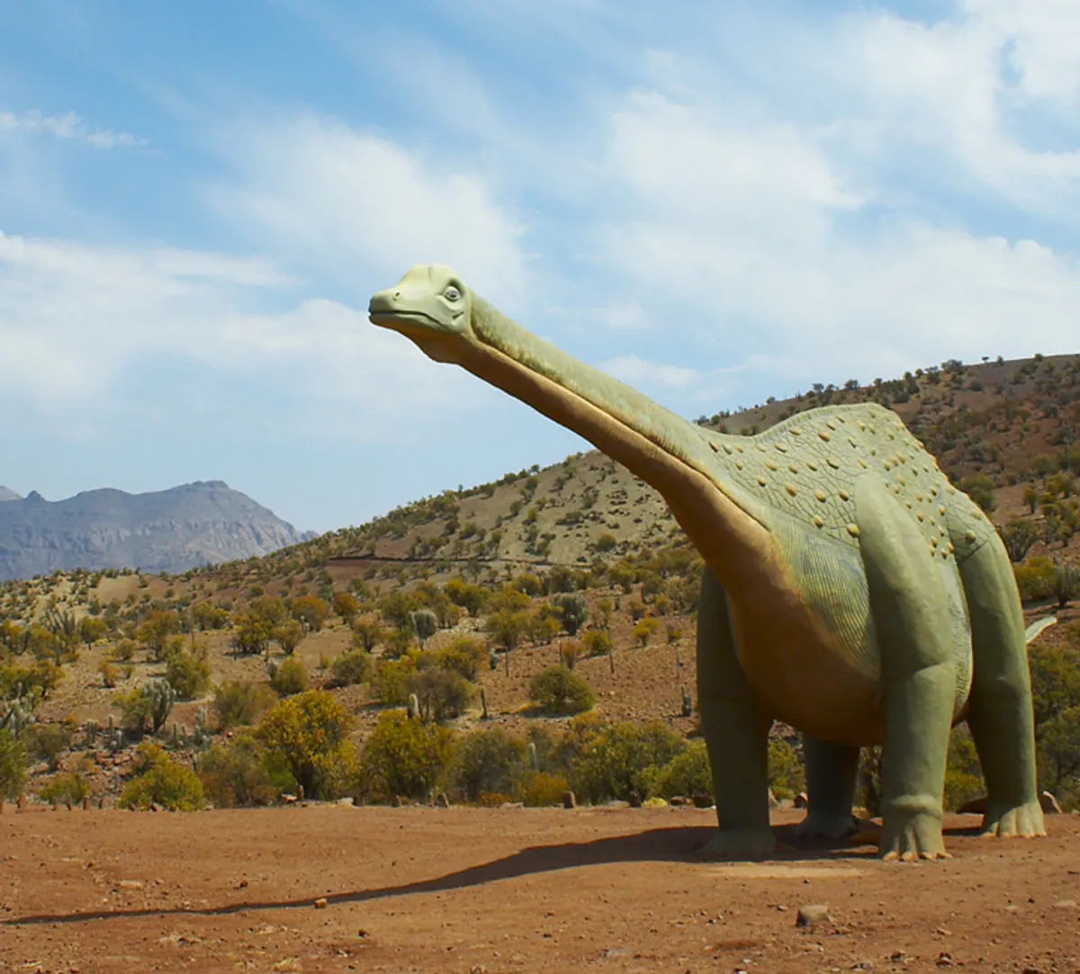 Monumento Natural Pichasca