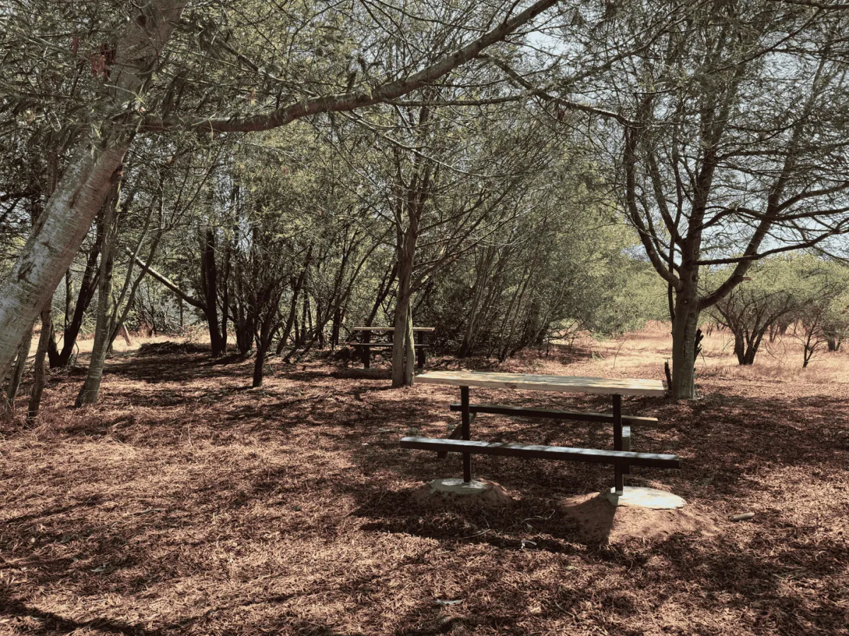Reserva Nacional Lago Peñuelas