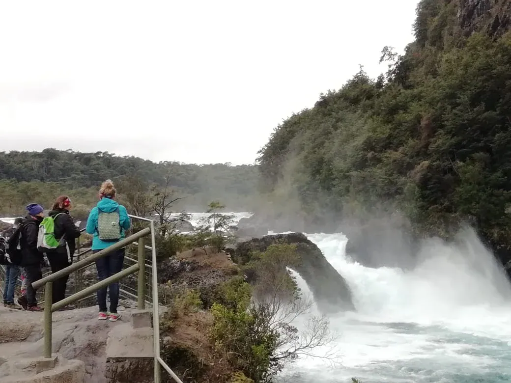 Saltos del Petrohue y Volcan Osorno (para cruceros)