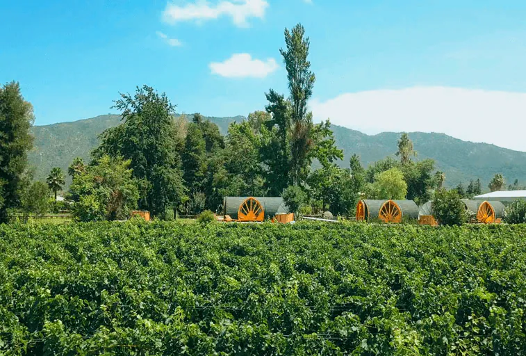 Colchagua Tiny Lodge