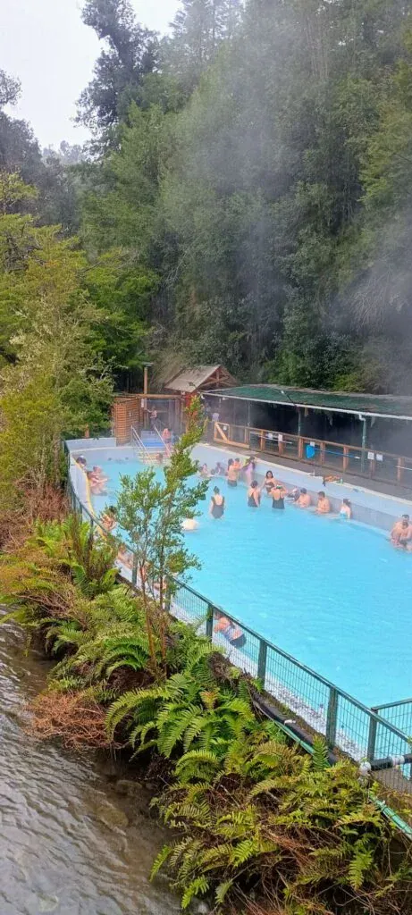 Parque Nacional Puyehue, Frutillar, Puerto Octay y Llanquihue