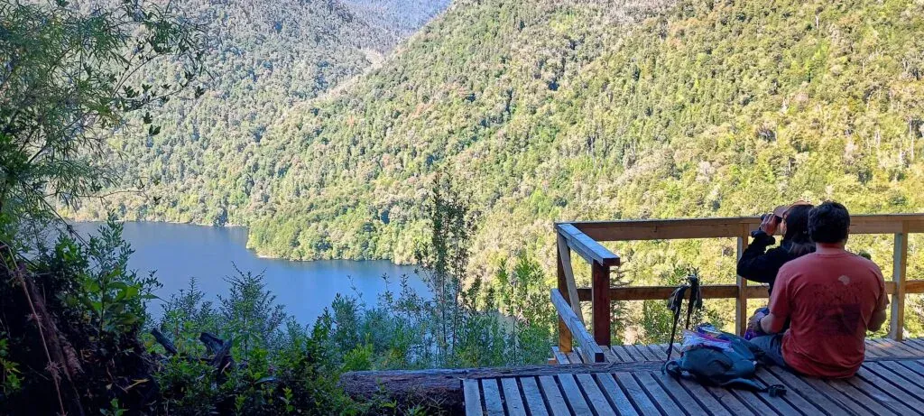 Hiking Mirador Laguna Sargazo y Alerces Milenarios | Parque Nacional Alerce Andino