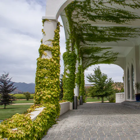 Casa Viñamar