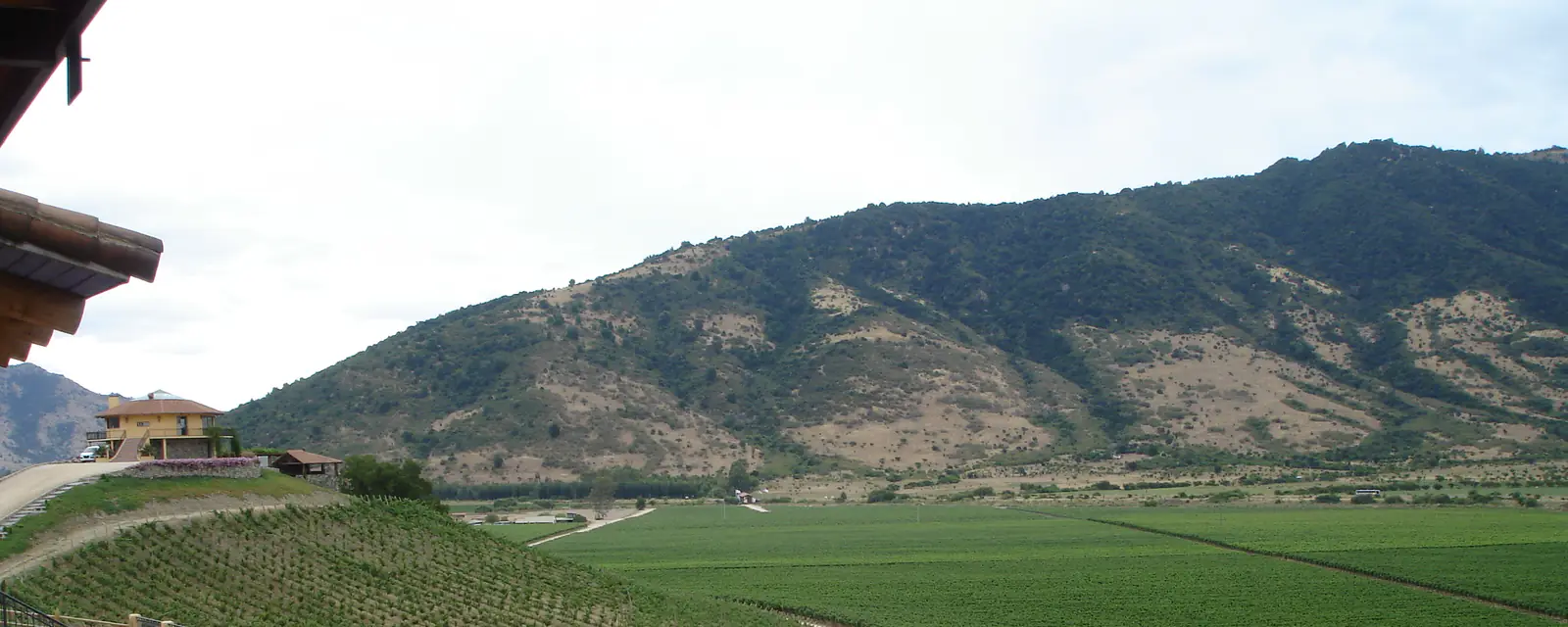 Viña Santa Cruz
