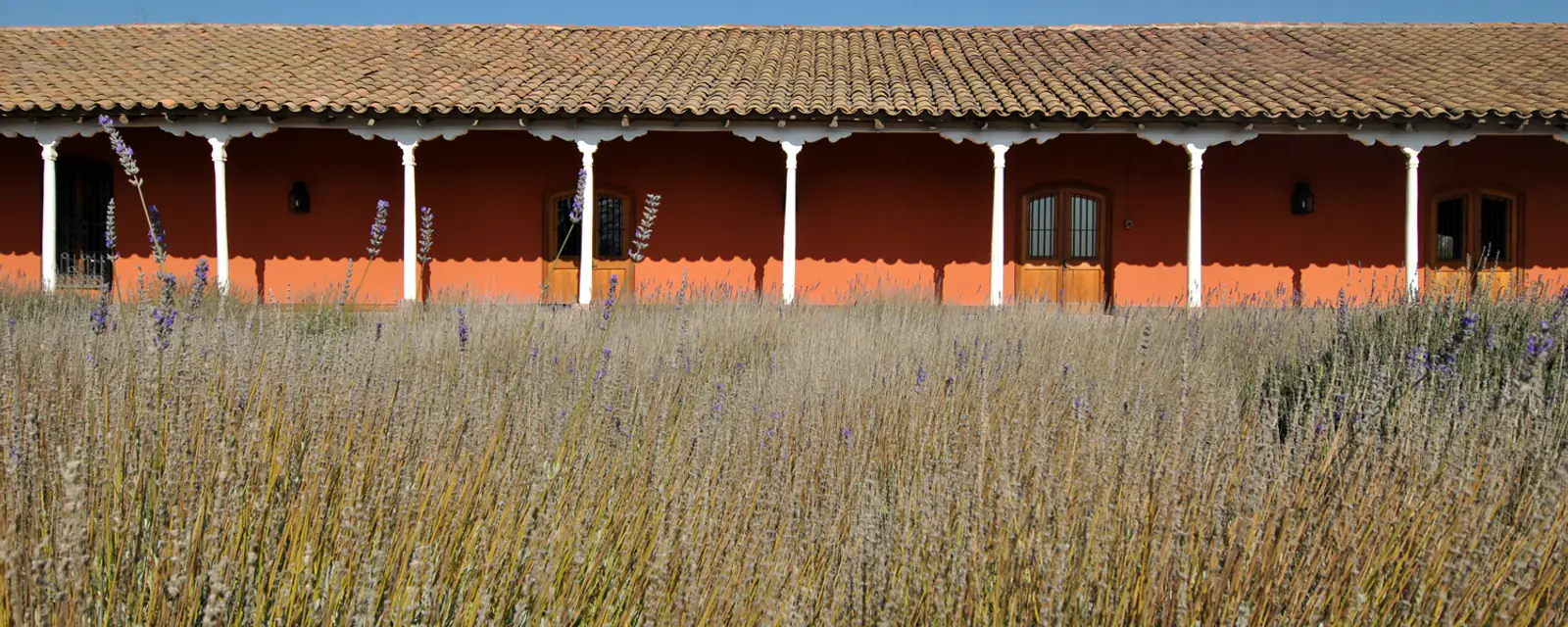 Viña Santa Rita