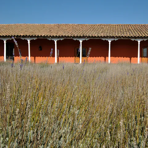 Viña Santa Rita