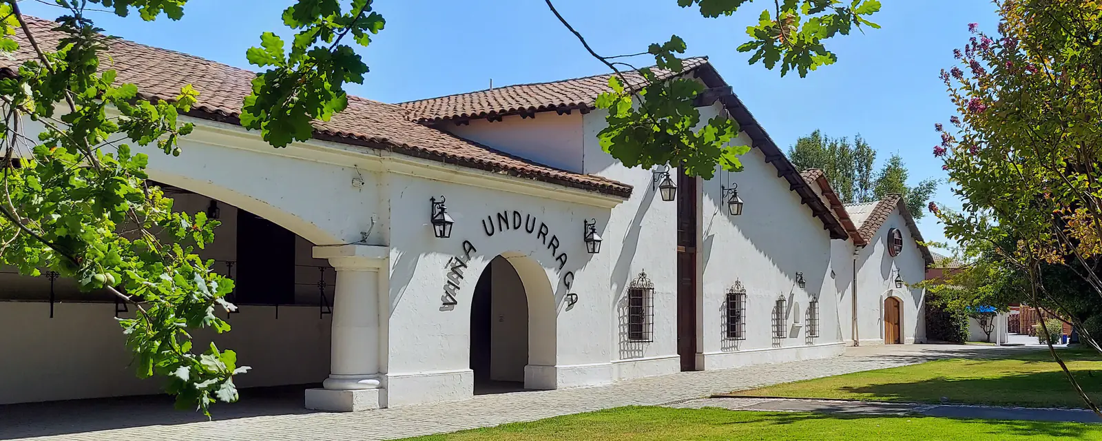 Viña Undurraga