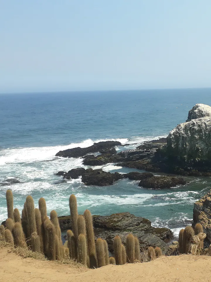 Pichilemu