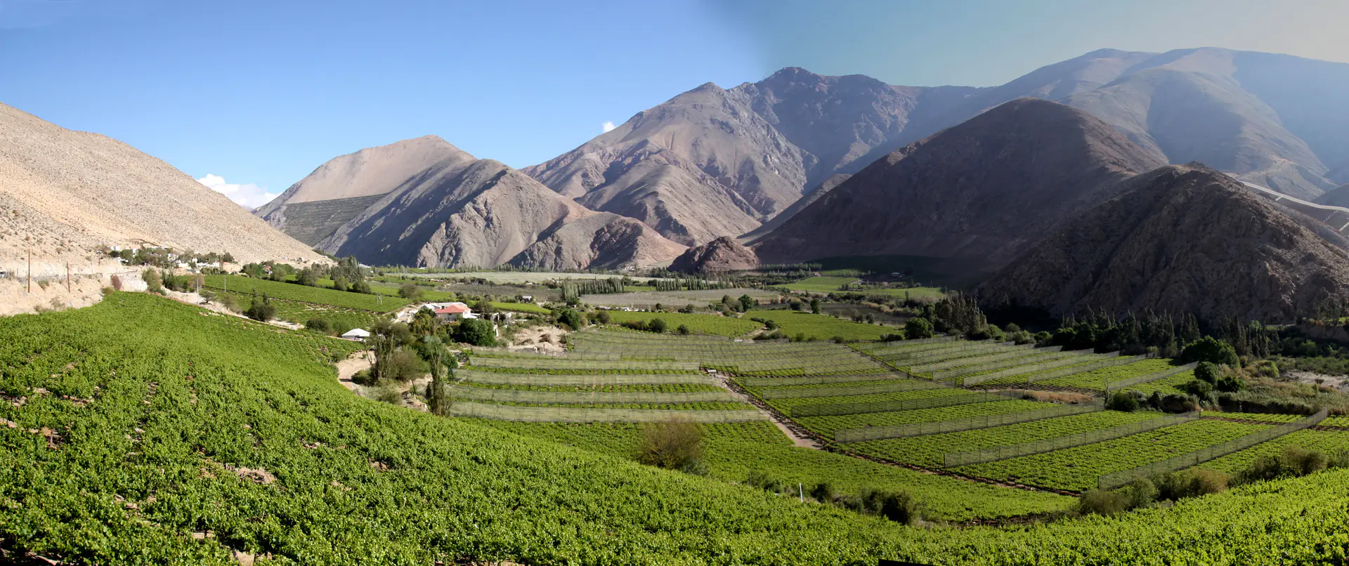Valle del Elqui