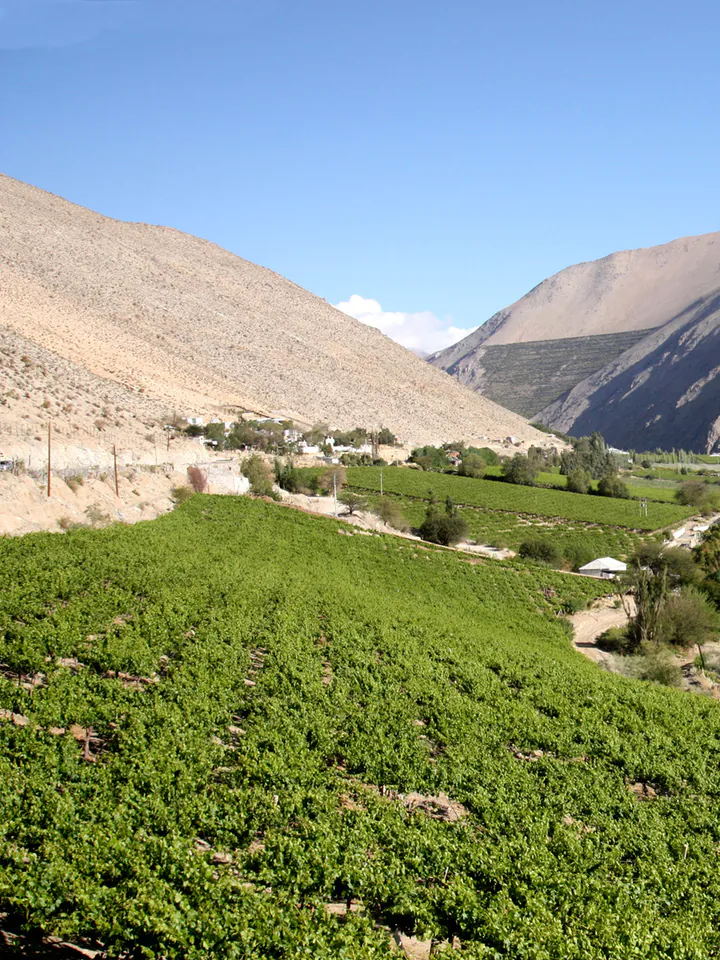 Valle del Elqui